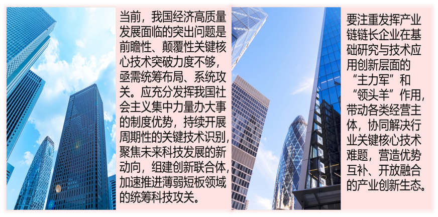 讲义查看