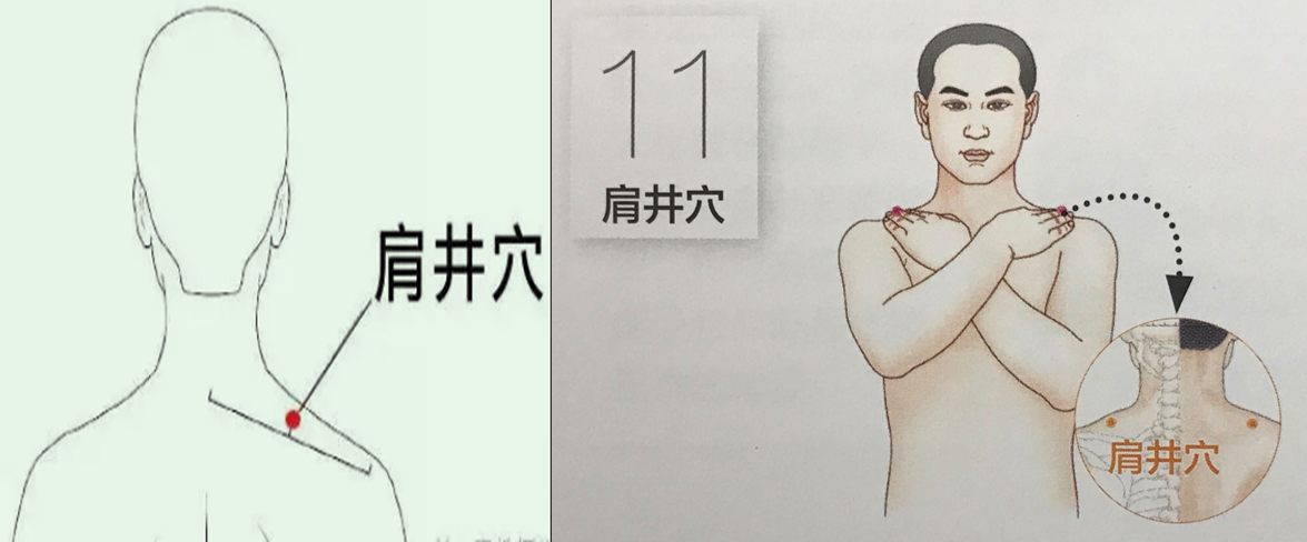 讲义查看
